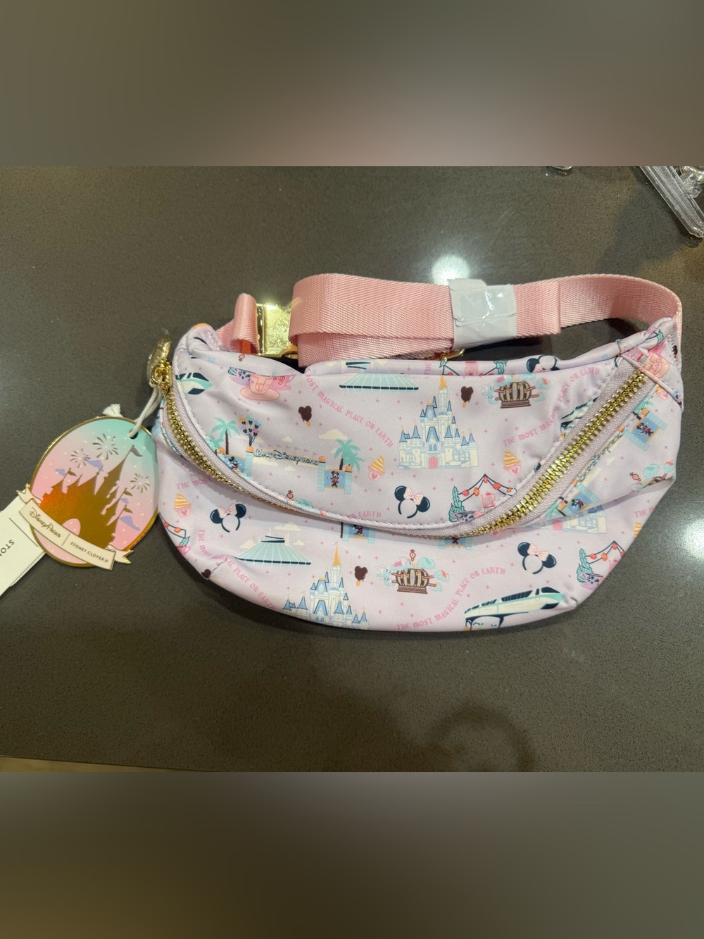 NEW WITH TAGS STONEY CLOVER DISNEY WORLD FANNY PACK